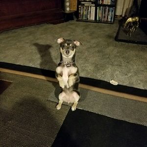 Meet your Posher, Kimbrrly